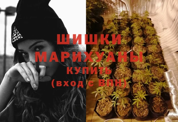 прущий лед Богородицк