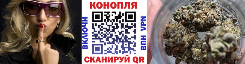 Канабис сатива  Козьмодемьянск 